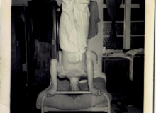 RAF_pictures_3_1024x768