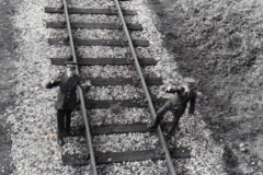Apprentices_7.4jpg