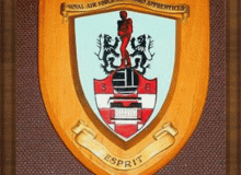 C Flight 2 Squadron Shield