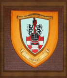 C Flight 2 Squadron Shield