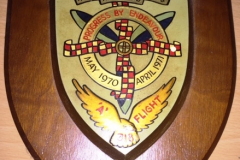 318-Shield