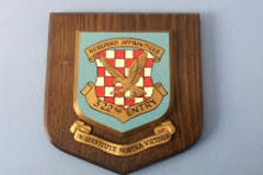 322-Entry-shield-Custom