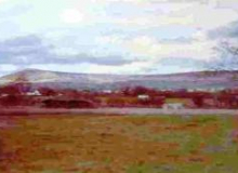 Mac16-239x250-250x175