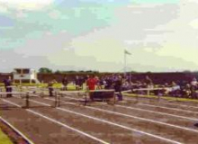 Mac4-248x250-250x175