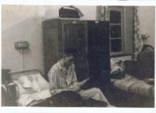 1_Bull_night_in_Britain_Block_Bircham-250x173-255x175