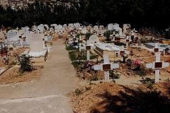 20240414_110444-rotated-e1713261024411