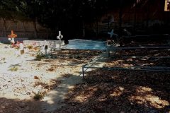 20240414_110448-rotated-e1713260793307